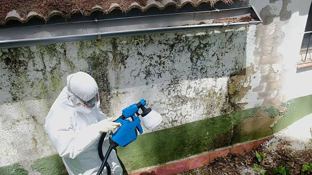Top rated local Commercial Mold Remediation specialists in White Hall, IL